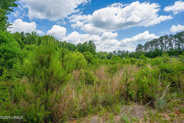 $545,000 | I95 Evergreen Lane, Walterboro, SC 29488