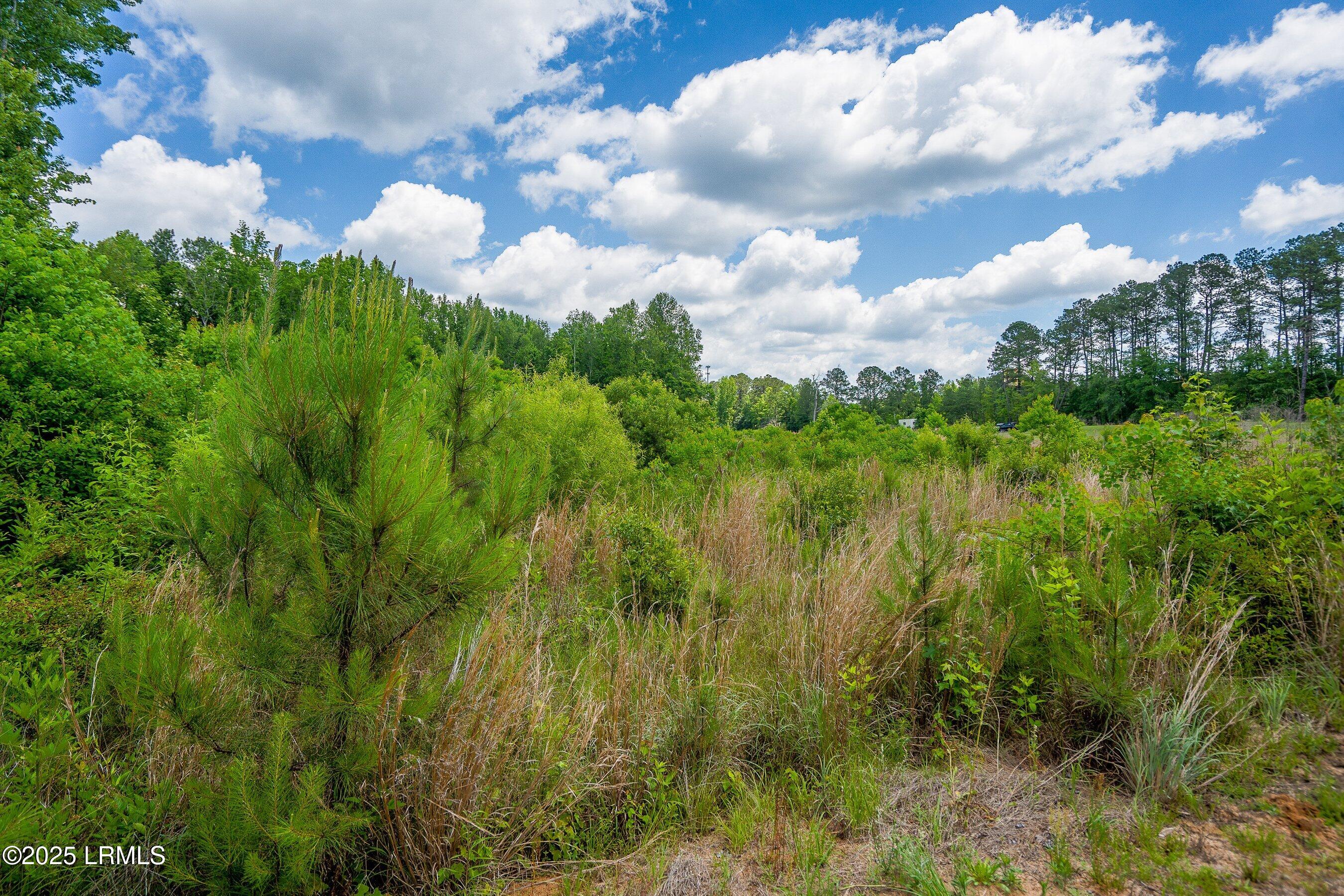 I95 Evergreen Lane Walterboro, SC 29488 - Photo 19 of 31 DSC01522-21-HDR.jpg-SMALL