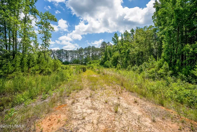 $545,000 | I95 Evergreen Lane, Walterboro, SC 29488