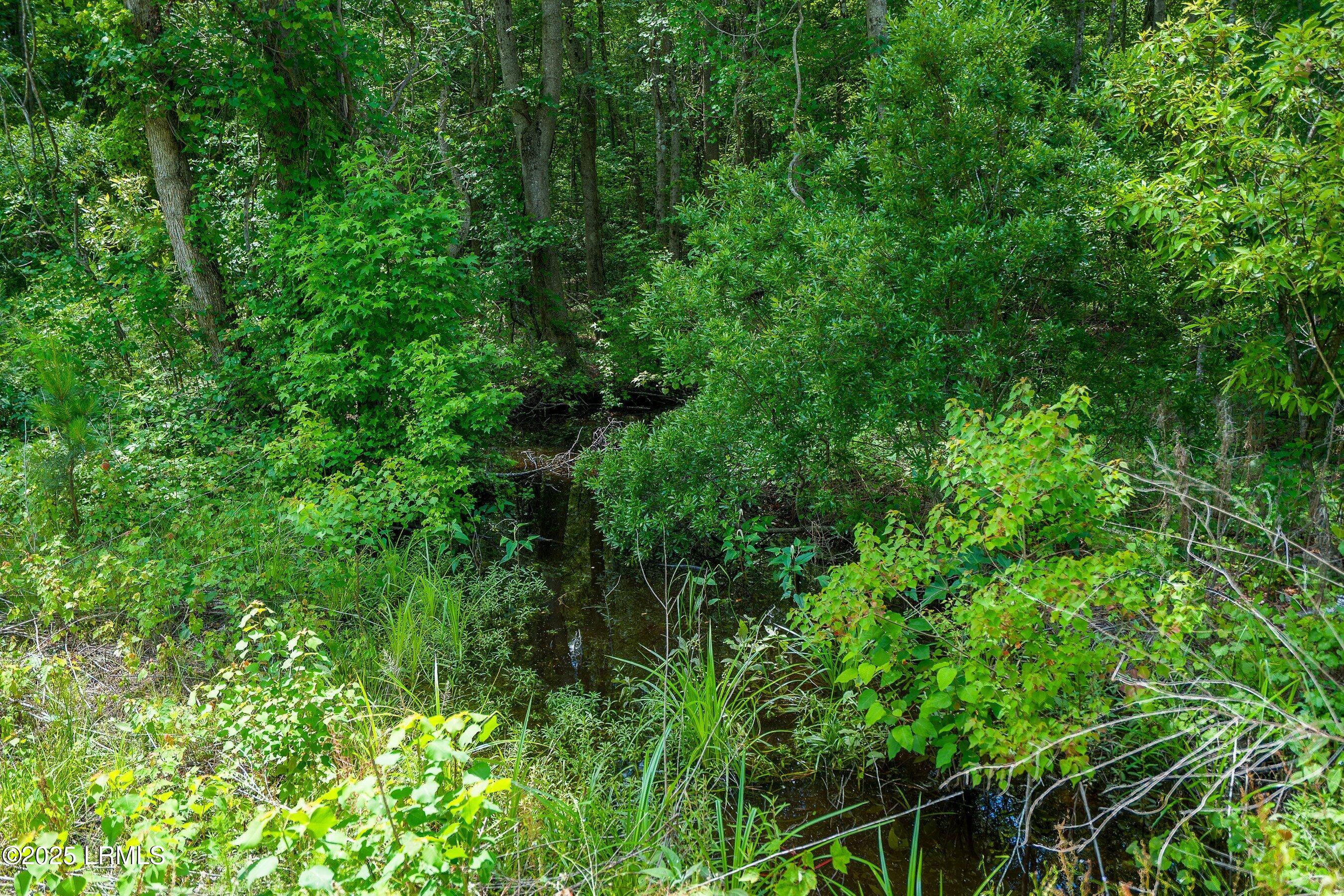 I95 Evergreen Lane Walterboro, SC 29488 - Photo 21 of 31 DSC01532-31-HDR.jpg-SMALL