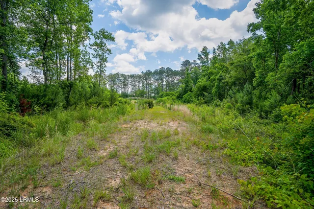 $545,000 | I95 Evergreen Lane, Walterboro, SC 29488