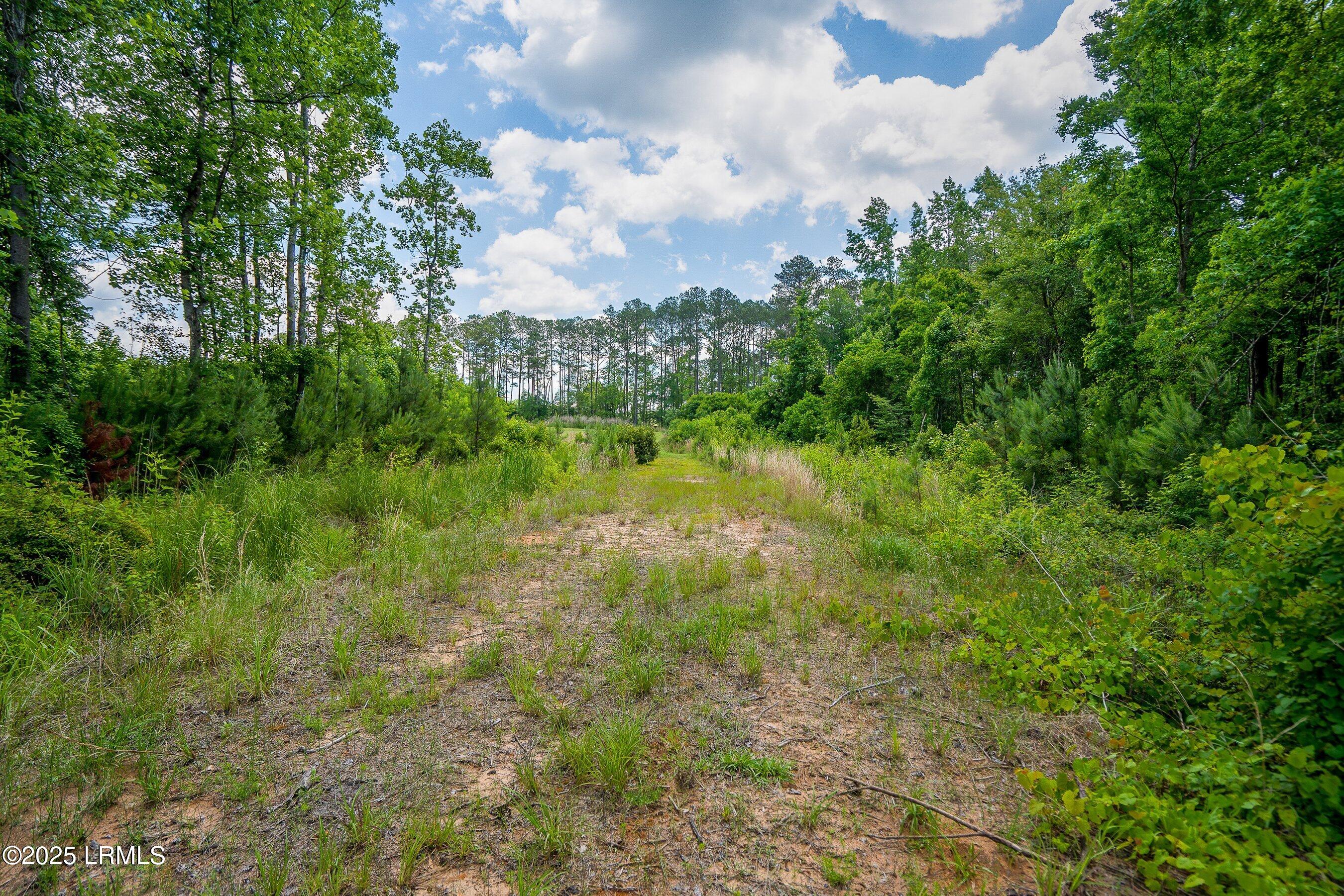 I95 Evergreen Lane Walterboro, SC 29488 - Photo 22 of 31 DSC01547-46-HDR.jpg-SMALL