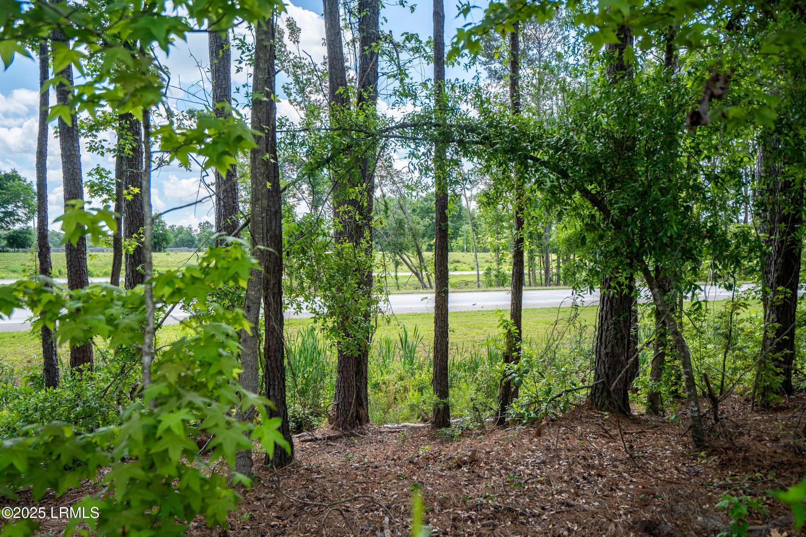 I95 Evergreen Lane Walterboro, SC 29488 - Photo 23 of 31 DSC01585-HDR.jpg-SMALL