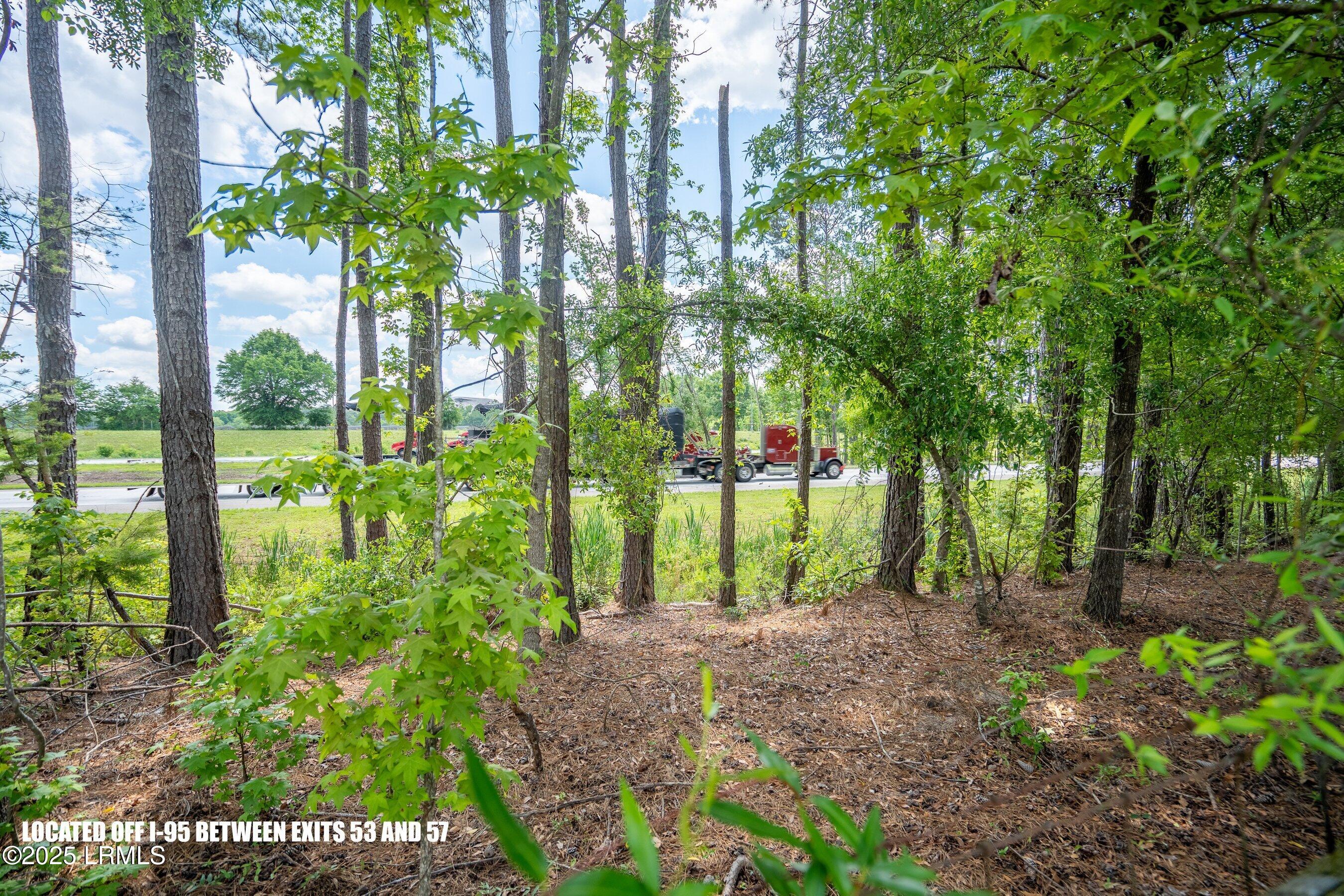 I95 Evergreen Lane Walterboro, SC 29488 - Photo 24 of 31 DSC01599-HDR.jpg-SMALL