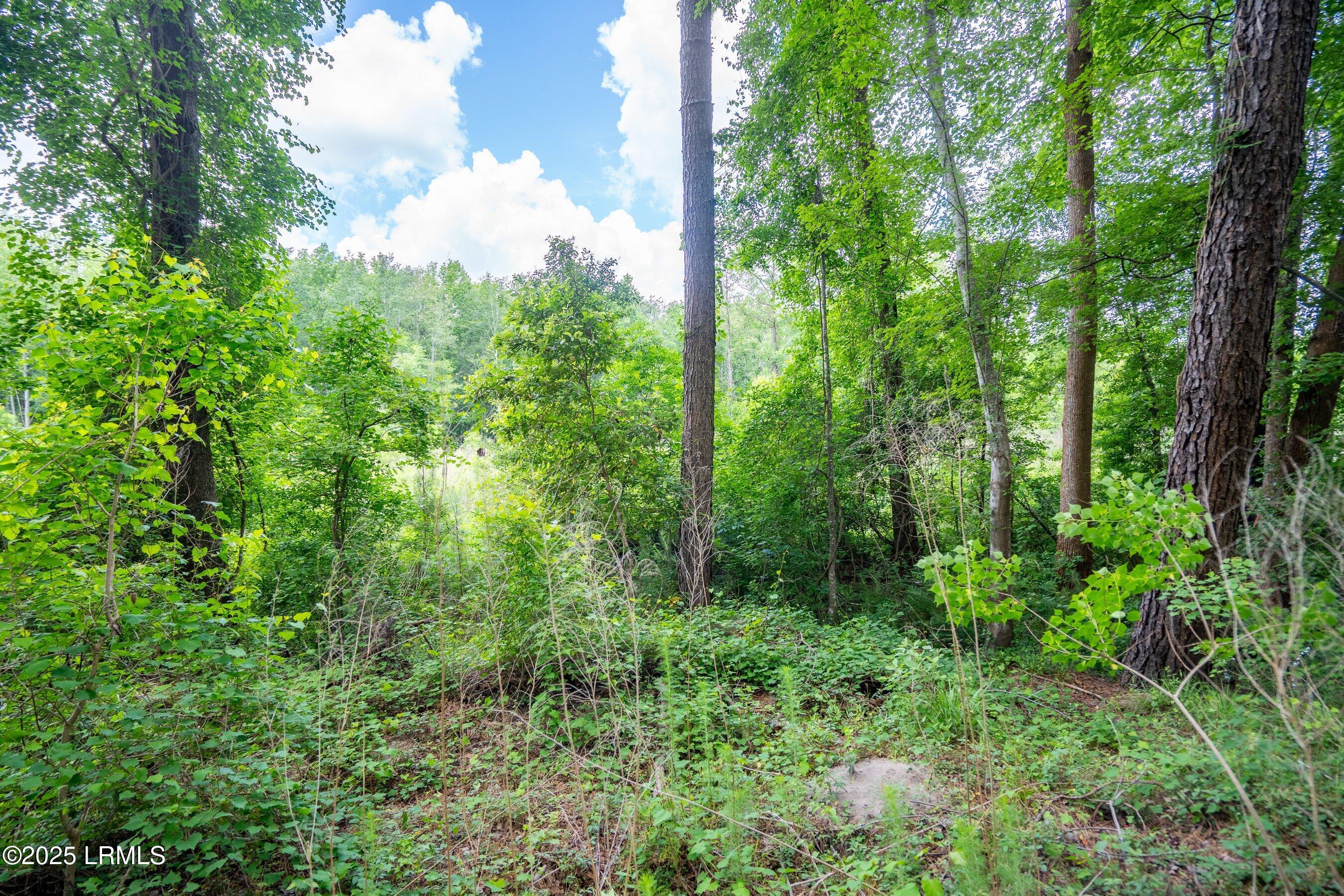 I95 Evergreen Lane Walterboro, SC 29488 - Photo 25 of 31 DSC01615-HDR.jpg-SMALL
