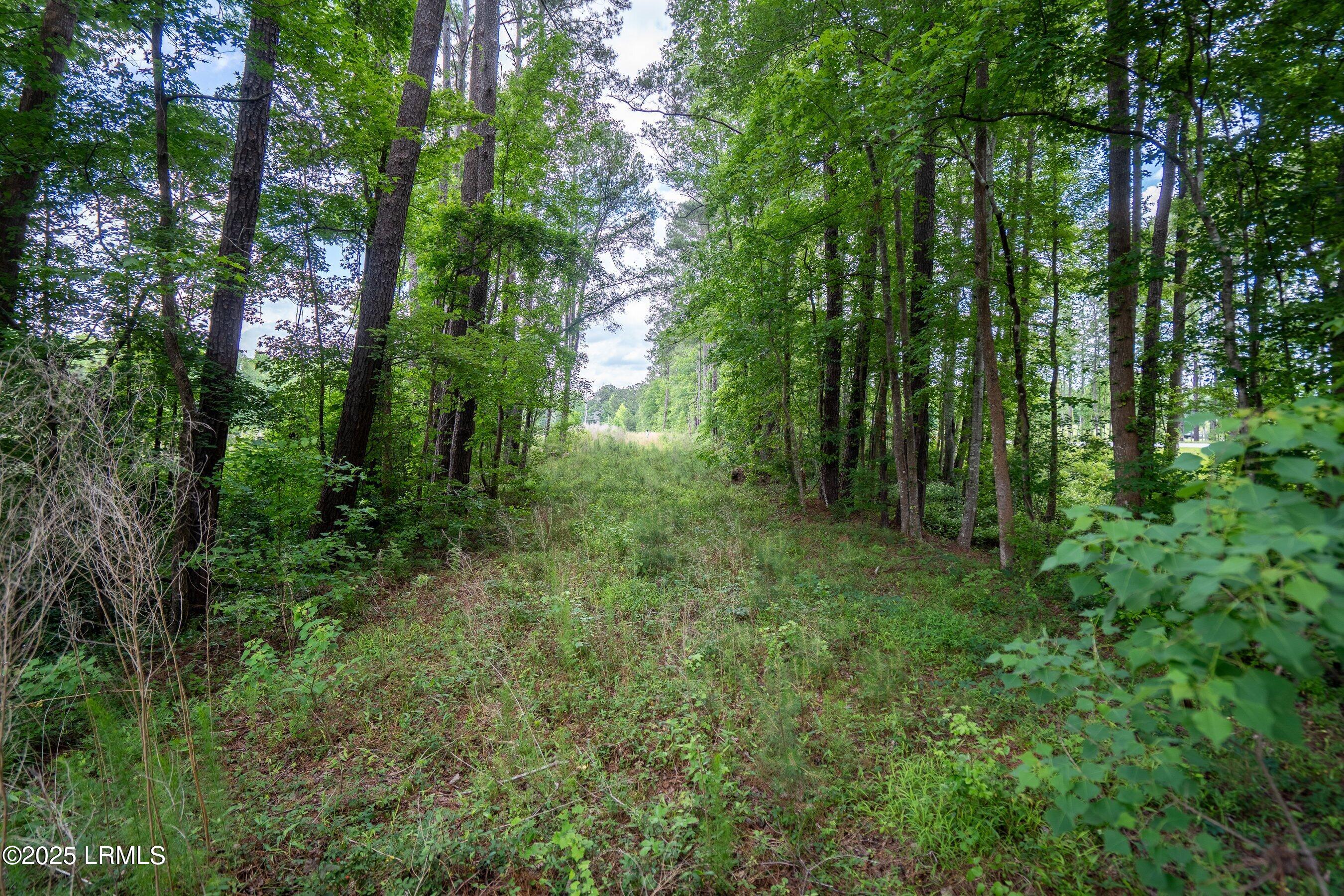 I95 Evergreen Lane Walterboro, SC 29488 - Photo 26 of 31 DSC01610-HDR.jpg-SMALL