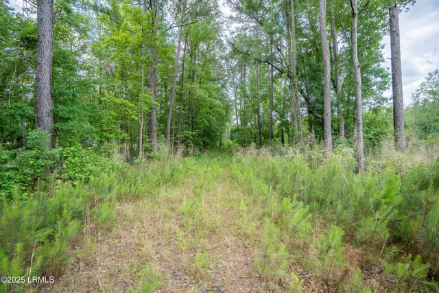 $545,000 | I95 Evergreen Lane, Walterboro, SC 29488