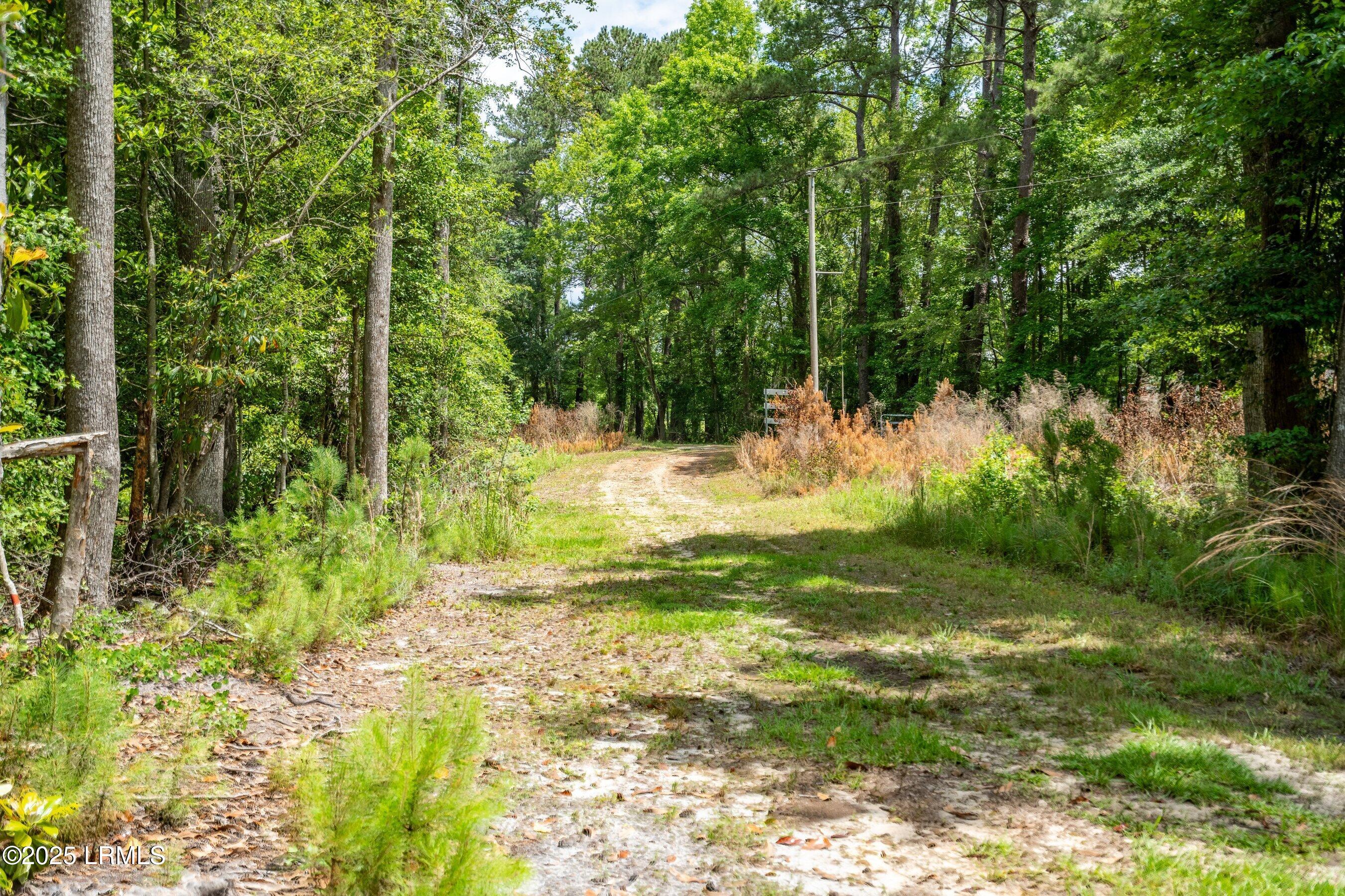 I95 Evergreen Lane Walterboro, SC 29488 - Photo 28 of 31 DSC01640-HDR.jpg-SMALL