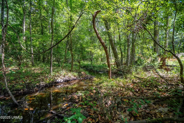 $545,000 | I95 Evergreen Lane, Walterboro, SC 29488