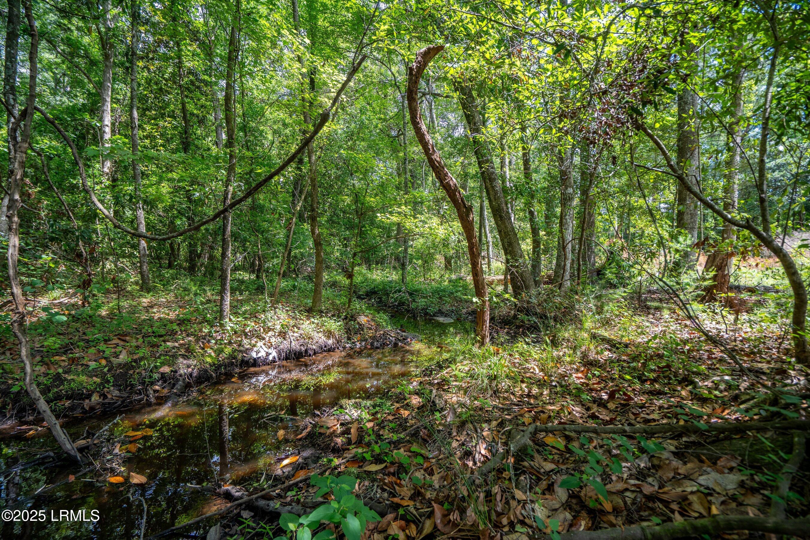 I95 Evergreen Lane Walterboro, SC 29488 - Photo 29 of 31 DSC01630-HDR.jpg-SMALL