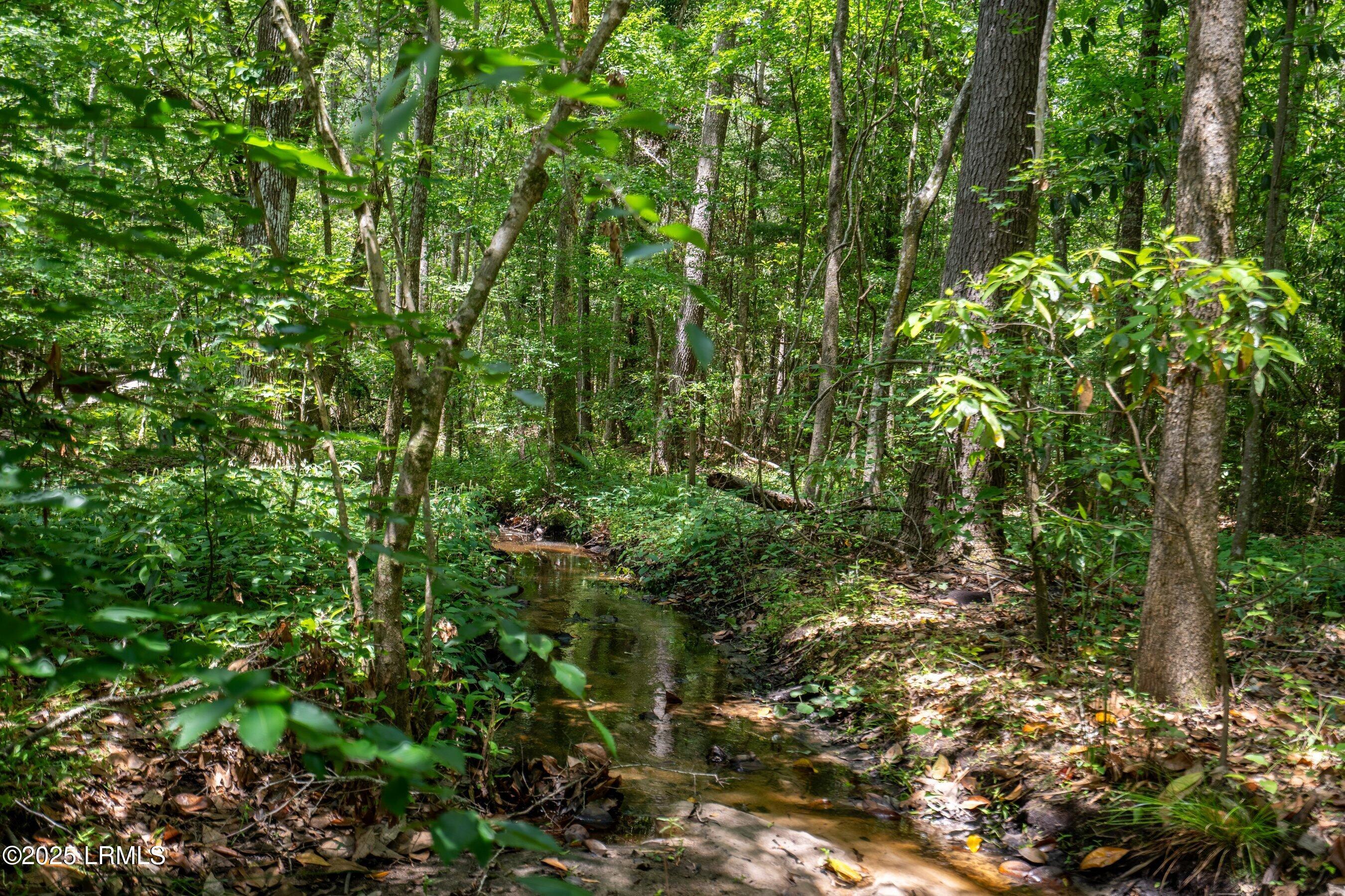 I95 Evergreen Lane Walterboro, SC 29488 - Photo 30 of 31 DSC01635-HDR.jpg-SMALL