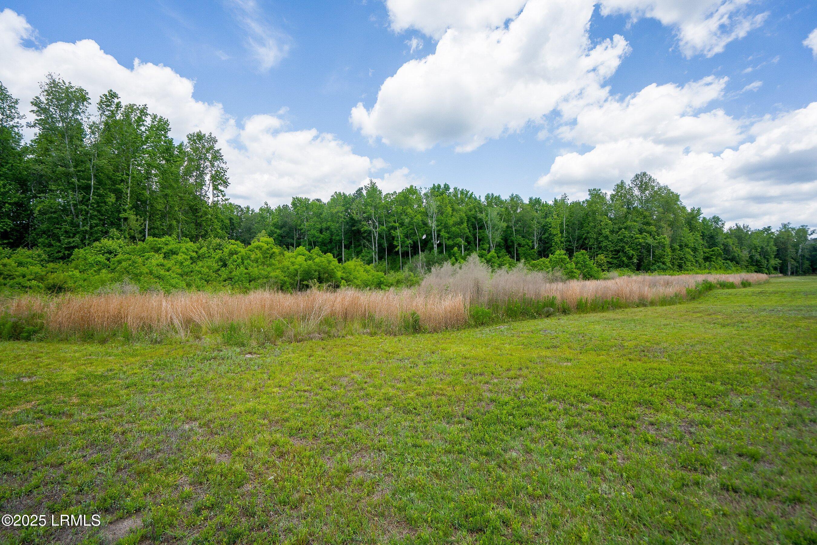 I95 Evergreen Lane Walterboro, SC 29488 - Photo 5 of 31 DSC01572-71-HDR.jpg-SMALL