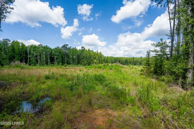 $545,000 | I95 Evergreen Lane, Walterboro, SC 29488
