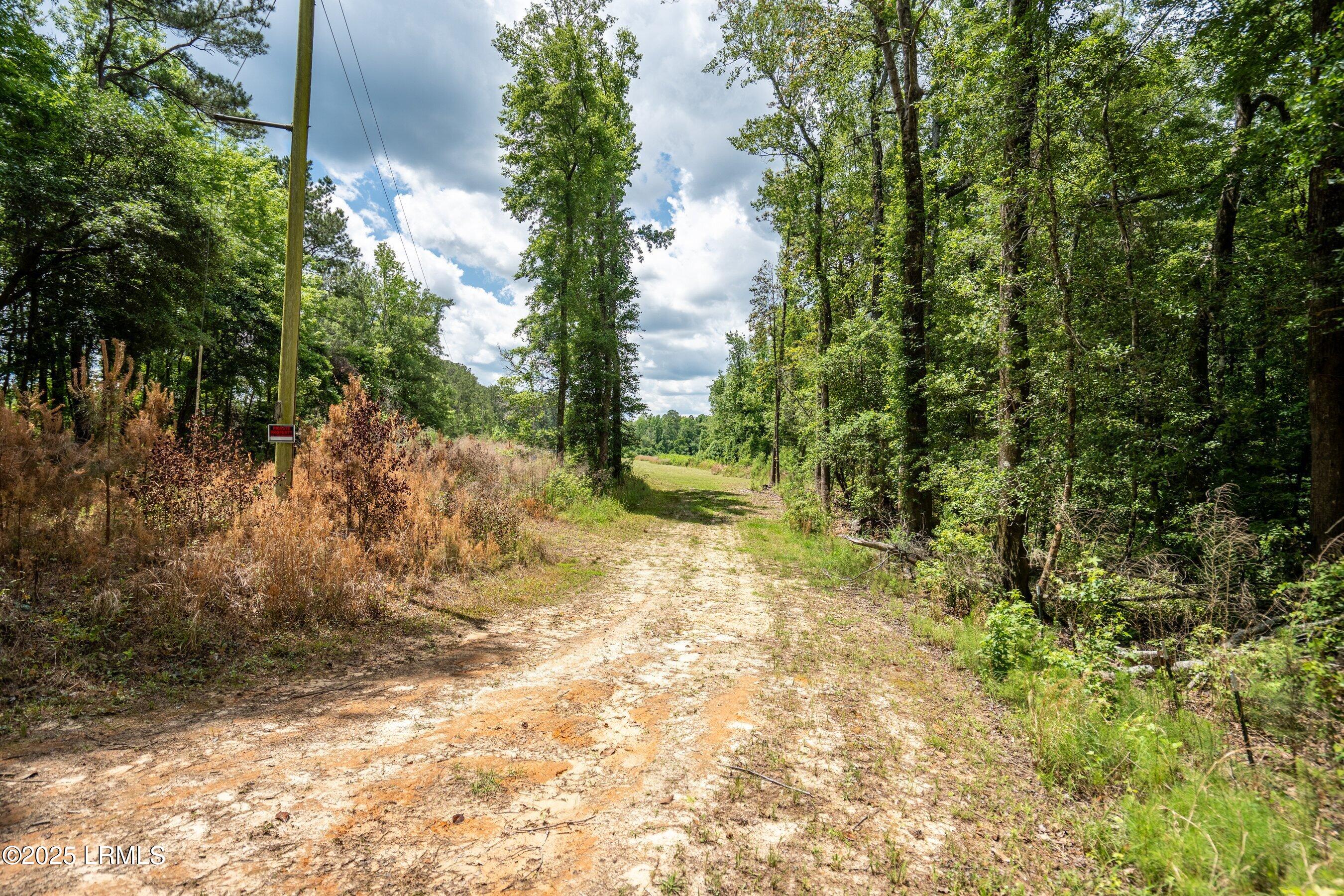 I95 Evergreen Lane Walterboro, SC 29488 - Photo 9 of 31 DSC01654-HDR.jpg-SMALL