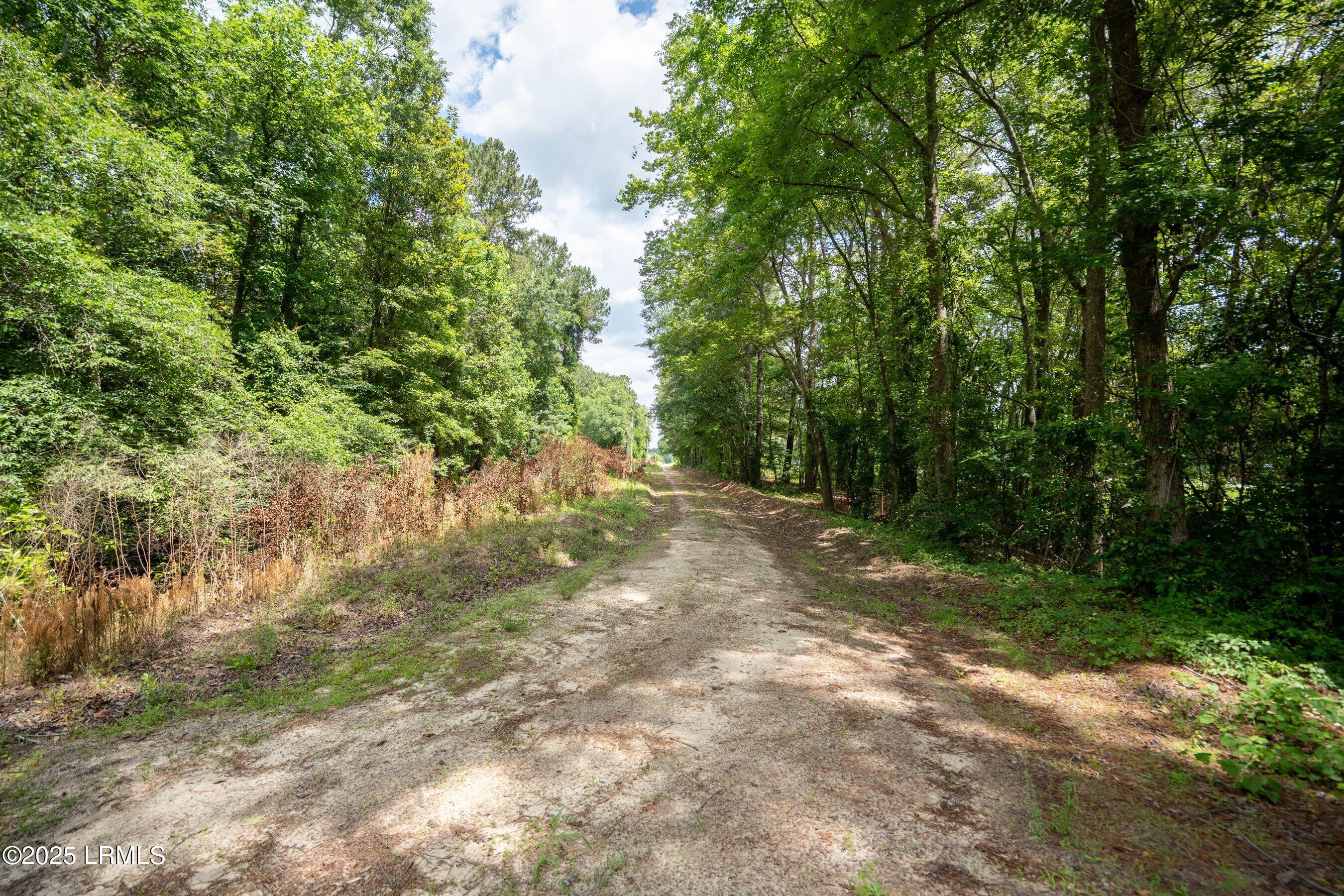 I95 Evergreen Lane Walterboro, SC 29488 - Photo 10 of 31 DSC01655-HDR.jpg-SMALL