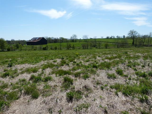 504 Steele Road Paris, KY 40361 - Photo 9 of 12 Listing Photo