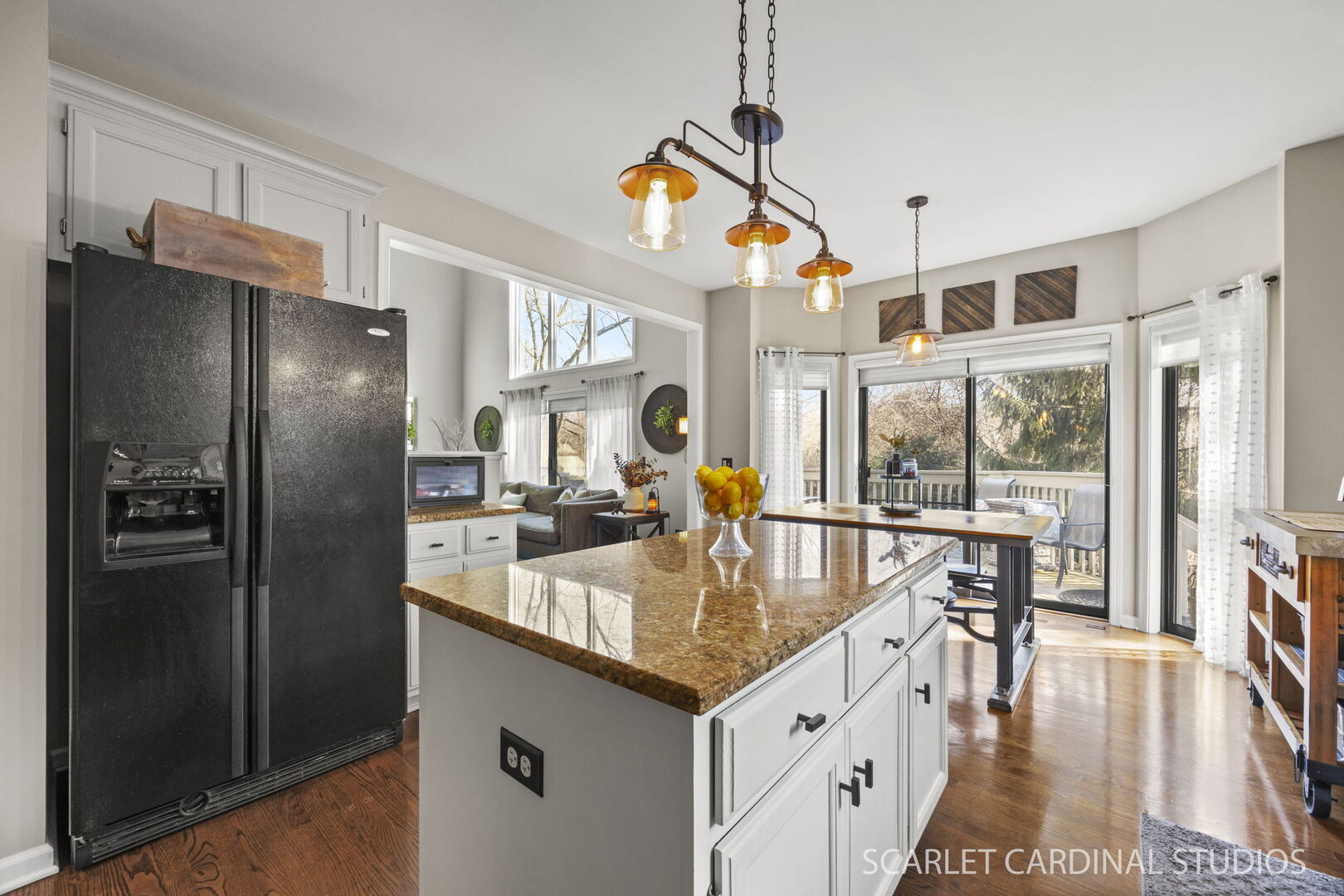 1467 Larsen Court Naperville, IL 60563 - Photo 11 of 42