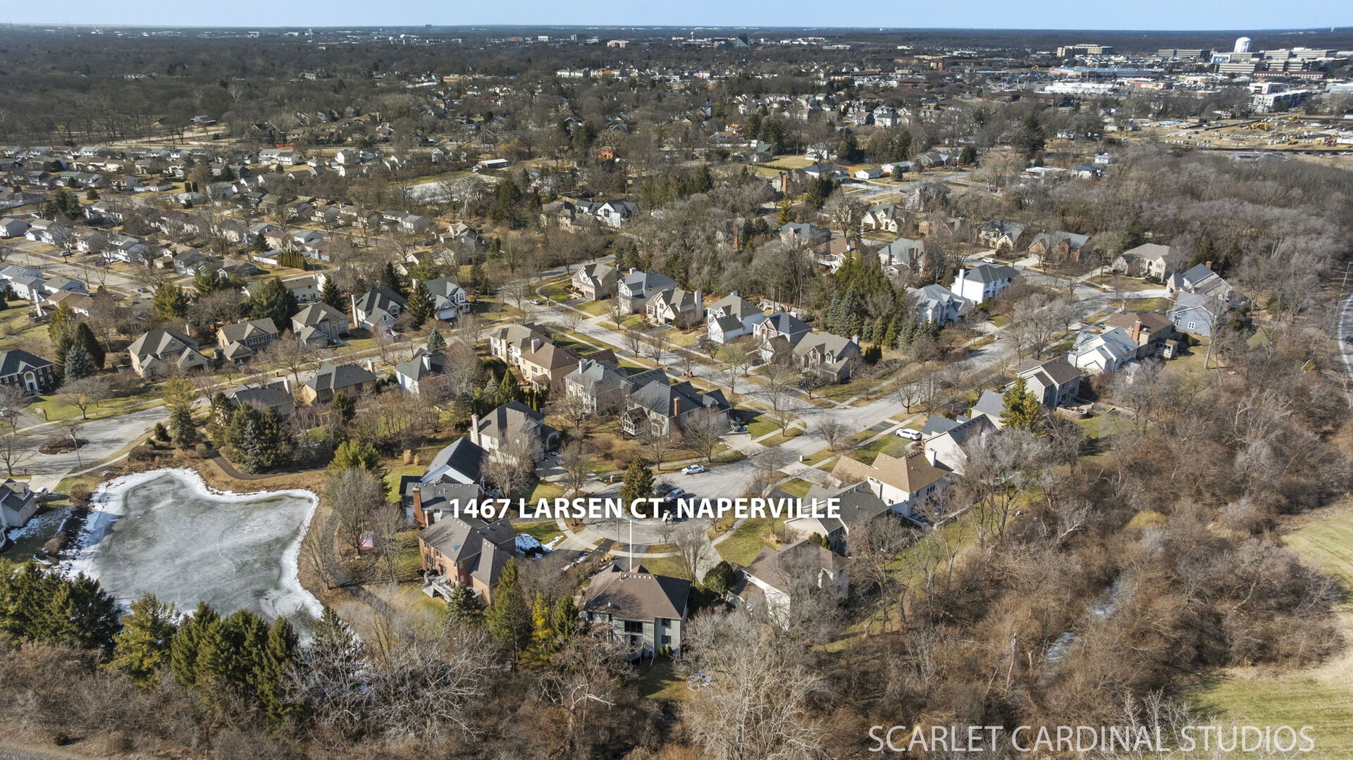 1467 Larsen Court Naperville, IL 60563 - Photo 41 of 42