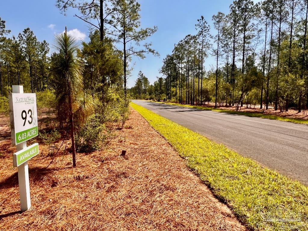 Lot 93 Turning Leaf Road Pace, FL 32571 - Photo 10 of 40 Gallery Image 10