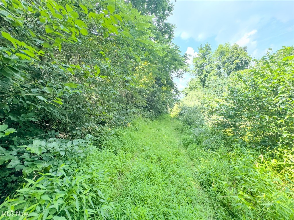 0 Mill St Road Quaker City, OH 43773 - Photo 14 of 23 View of undeveloped land