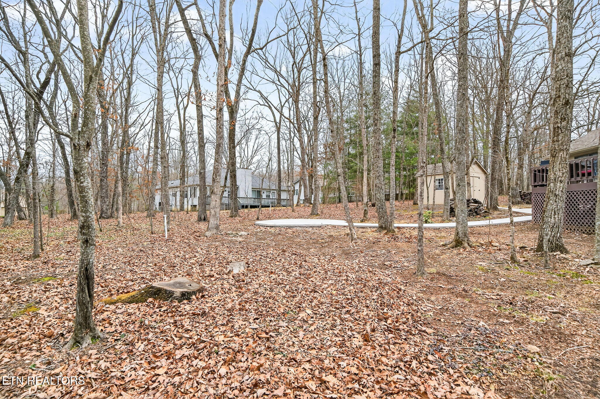 29 Overlook Terrace Crossville, TN 38558 - Photo 36 of 42 10-web-or-mls-29 Overlook Ter FFG_043_TN