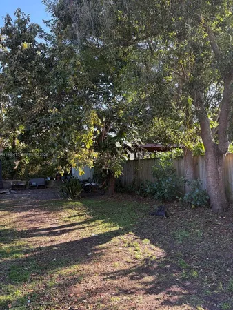 a view of a tree is standing in between the field