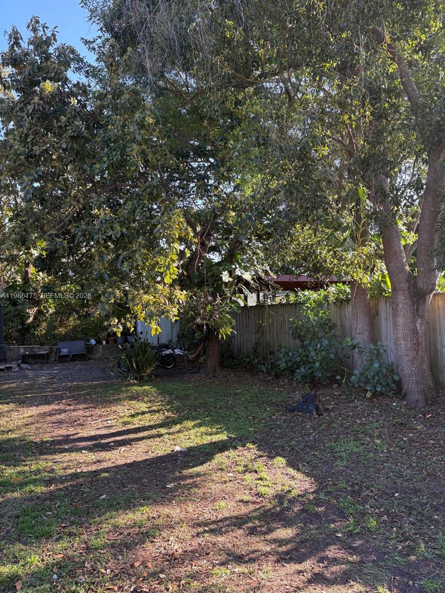 1758 Southwest 18th Street Miami, FL 33145 - Photo 11 of 15 a view of a tree is standing in between the field