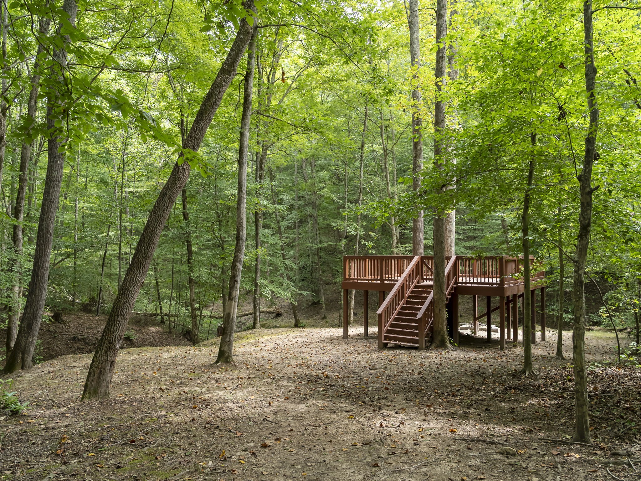 6011 Garrison Springs Road Franklin, TN 37064 - Photo 12 of 99