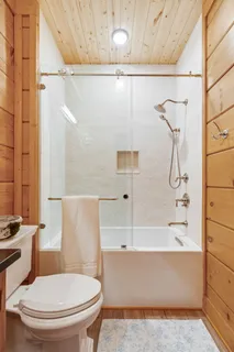 a view of a forest with trees in the background