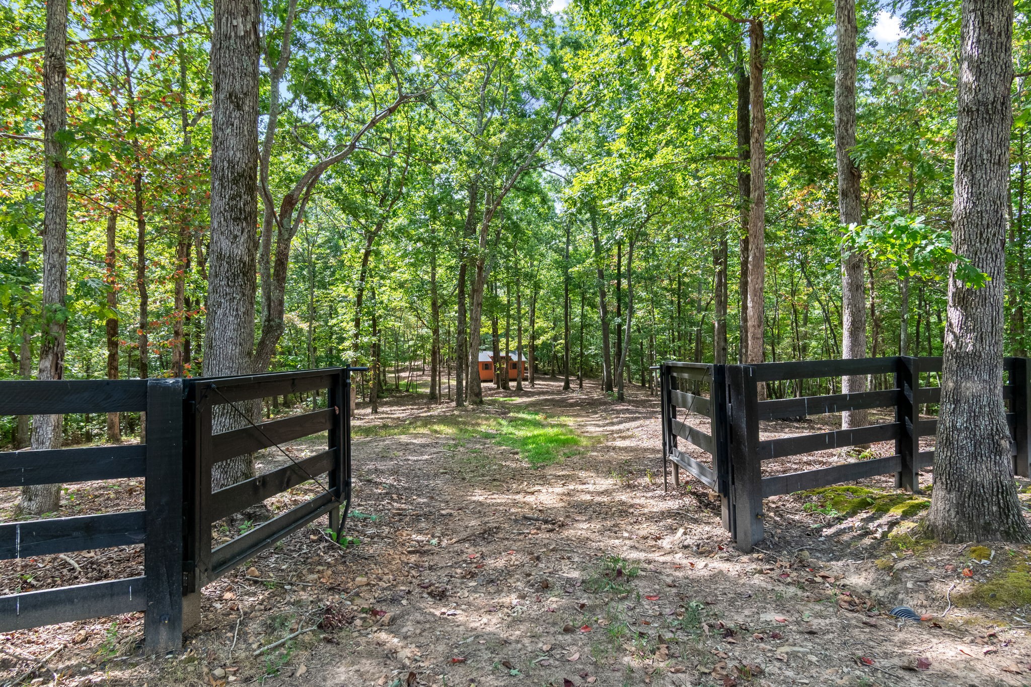 6011 Garrison Springs Road Franklin, TN 37064 - Photo 79 of 99 a view of park benches sitting below a green tree