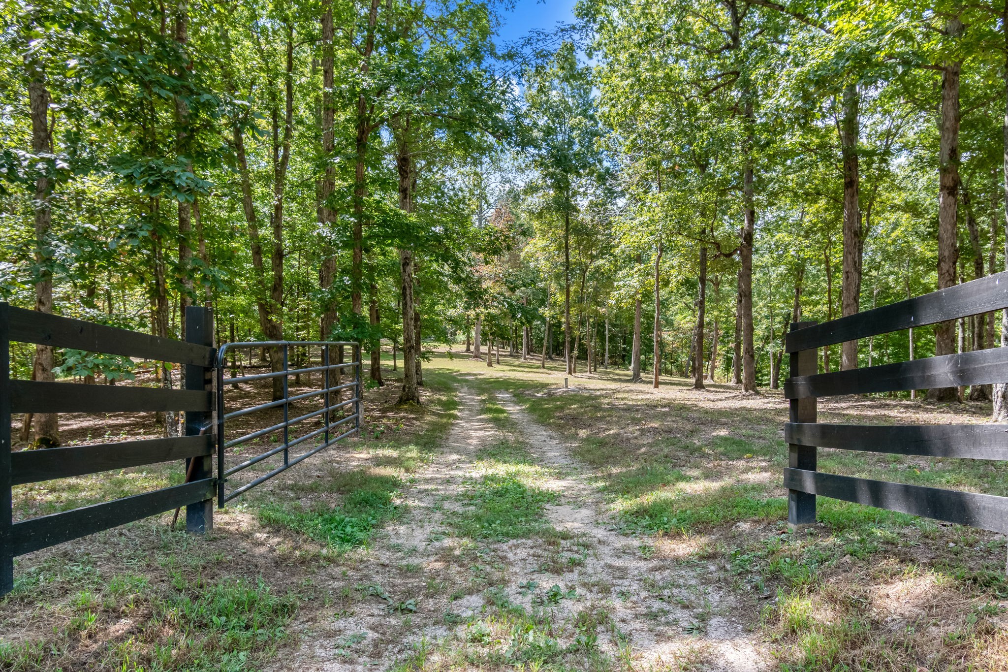 6011 Garrison Springs Road Franklin, TN 37064 - Photo 82 of 99