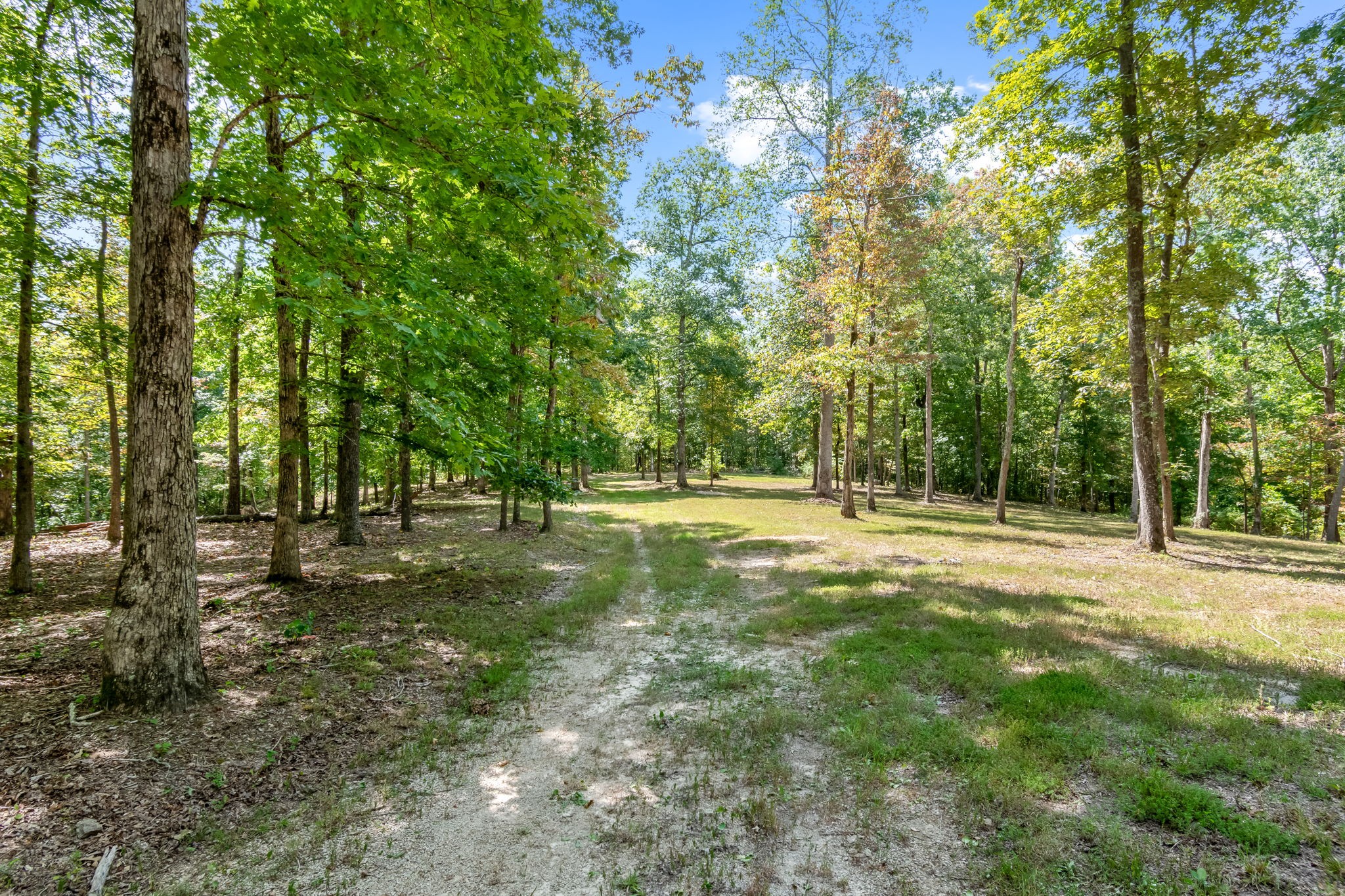 6011 Garrison Springs Road Franklin, TN 37064 - Photo 83 of 99