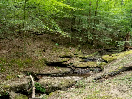 $7,750,000 | 6011 Garrison Springs Road, Franklin, TN 37064