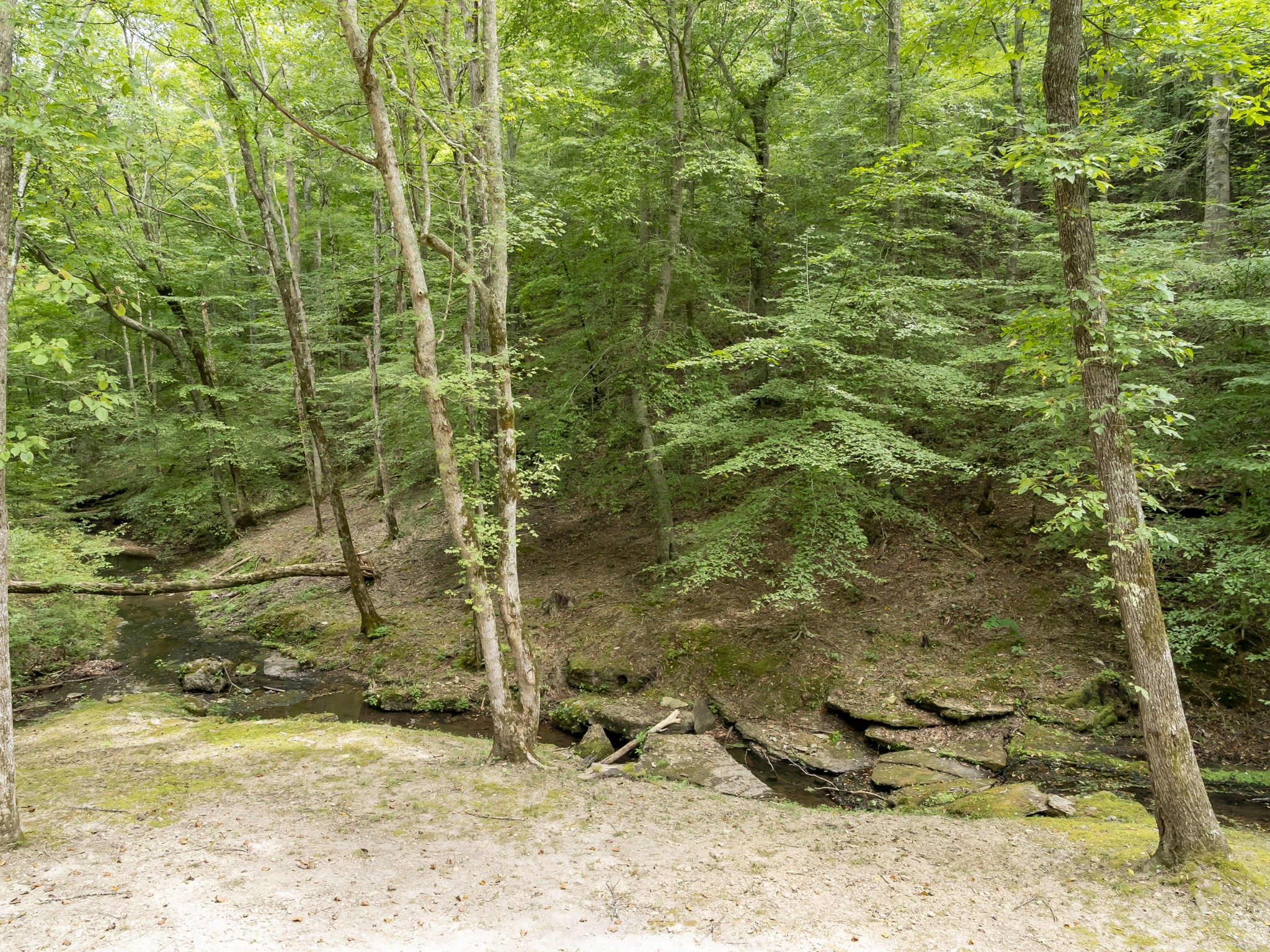 6011 Garrison Springs Road Franklin, TN 37064 - Photo 90 of 99