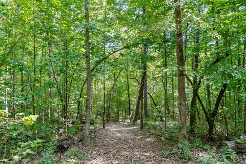 $7,750,000 | 6011 Garrison Springs Road, Franklin, TN 37064