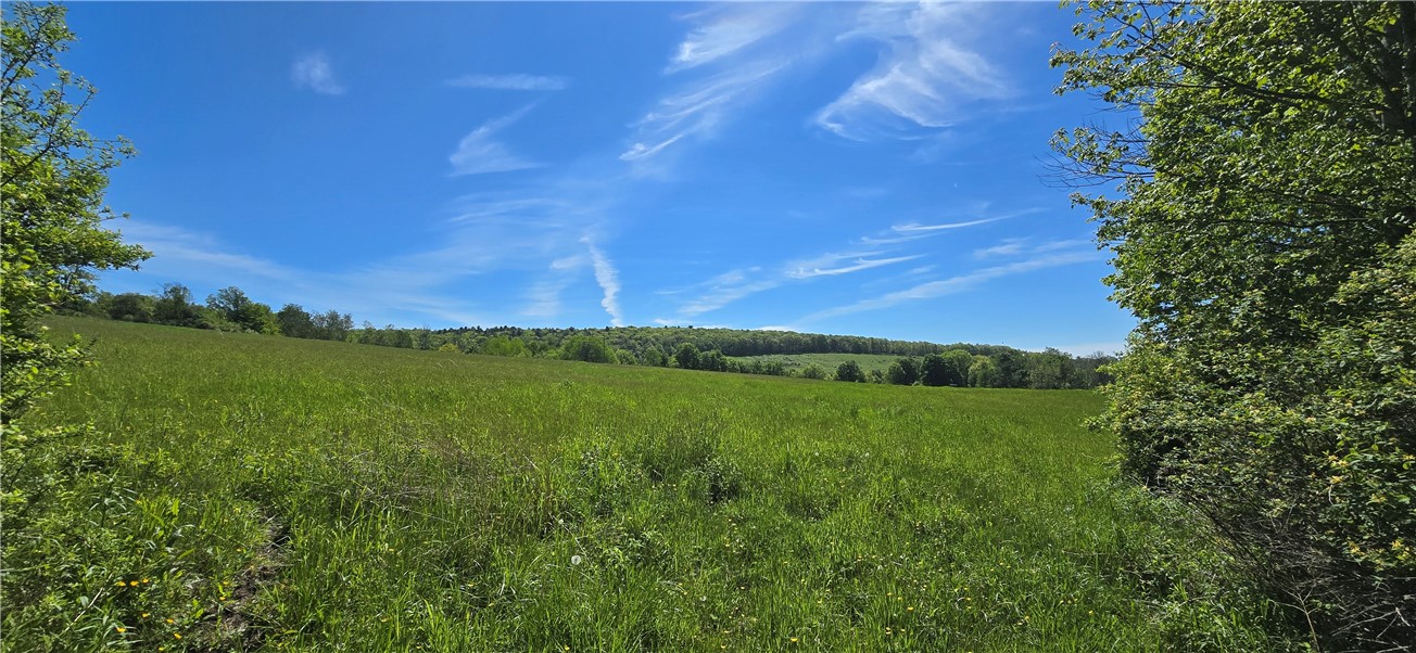 324 Murphy Hill Road Catlin, NY 14845 - Photo 18 of 47