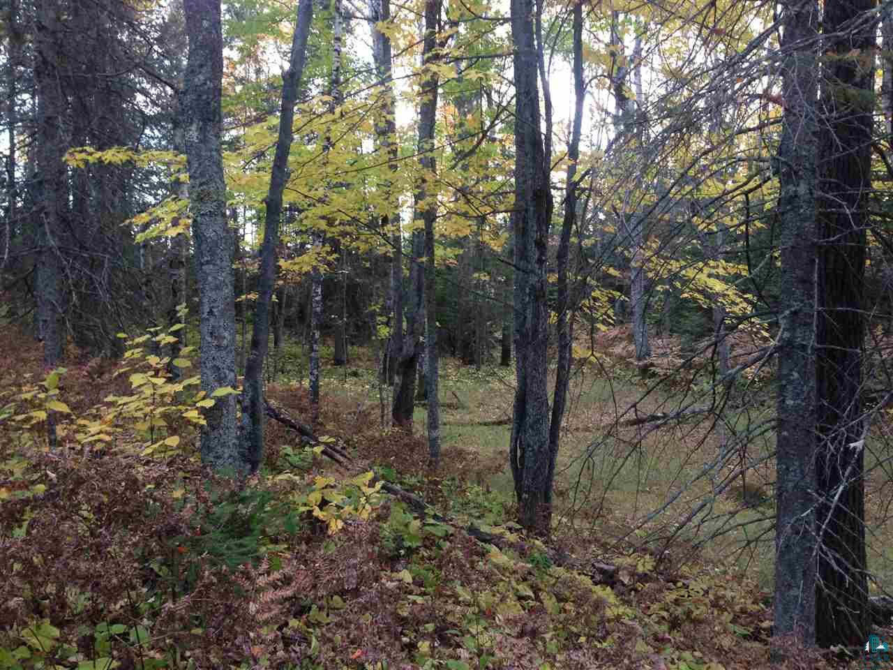 42-xx Schultz Road Duluth, MN 55803 - Photo 14 of 15