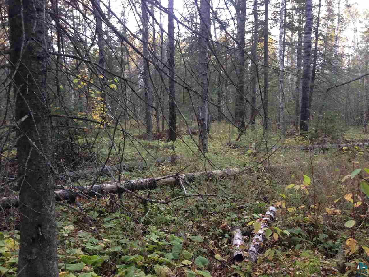 42-xx Schultz Road Duluth, MN 55803 - Photo 3 of 15