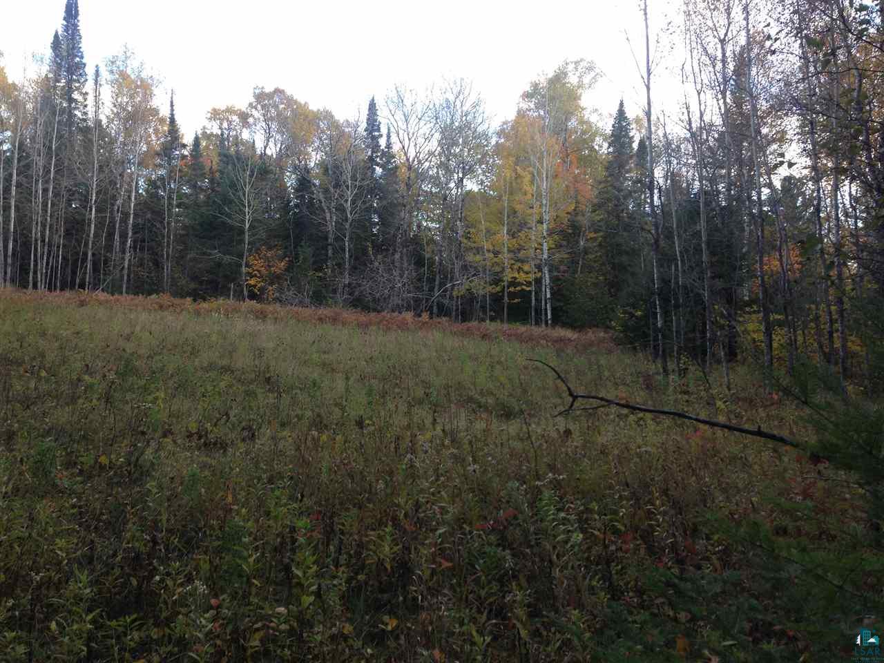 42-xx Schultz Road Duluth, MN 55803 - Photo 4 of 15
