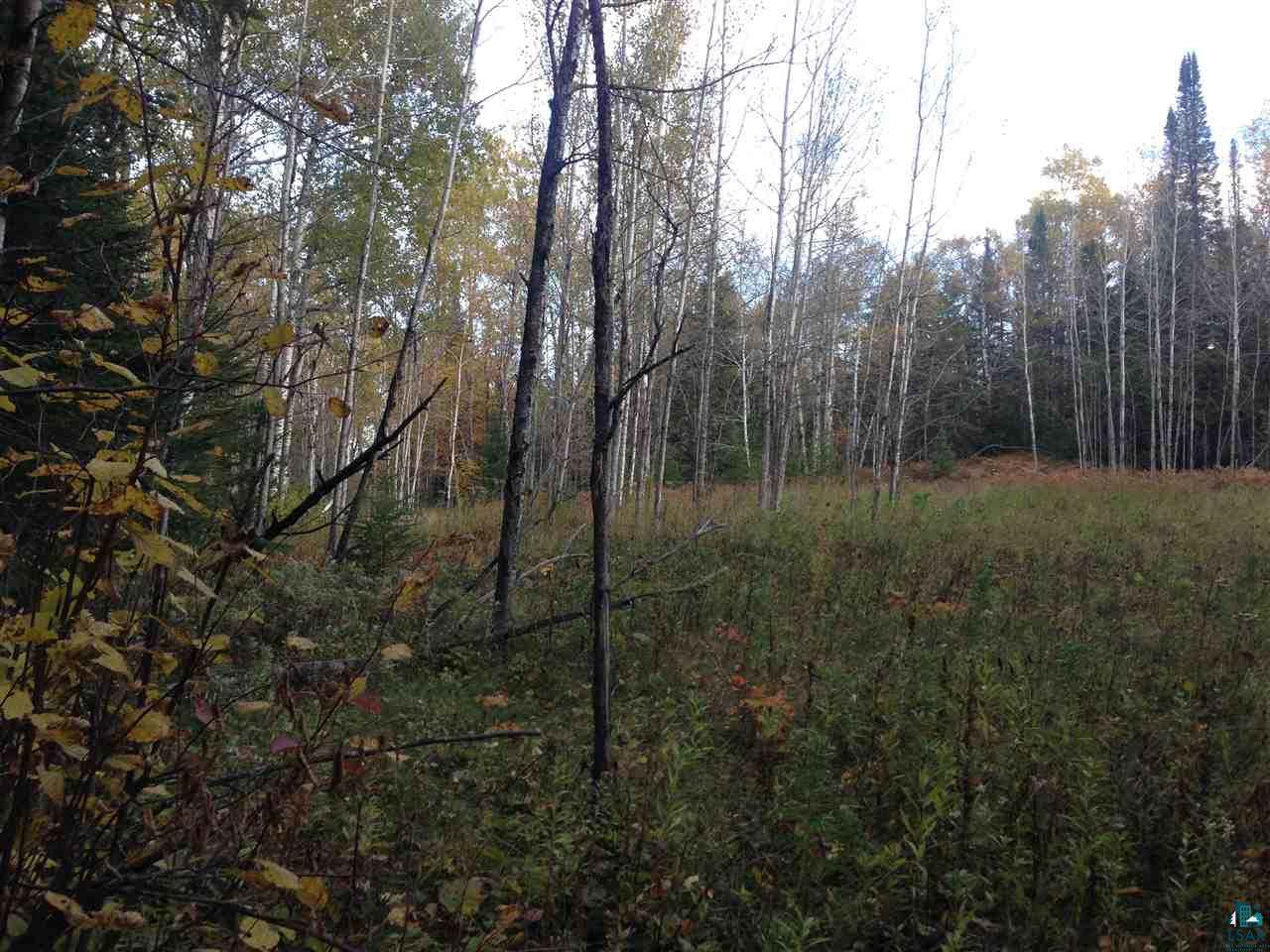 42-xx Schultz Road Duluth, MN 55803 - Photo 5 of 15