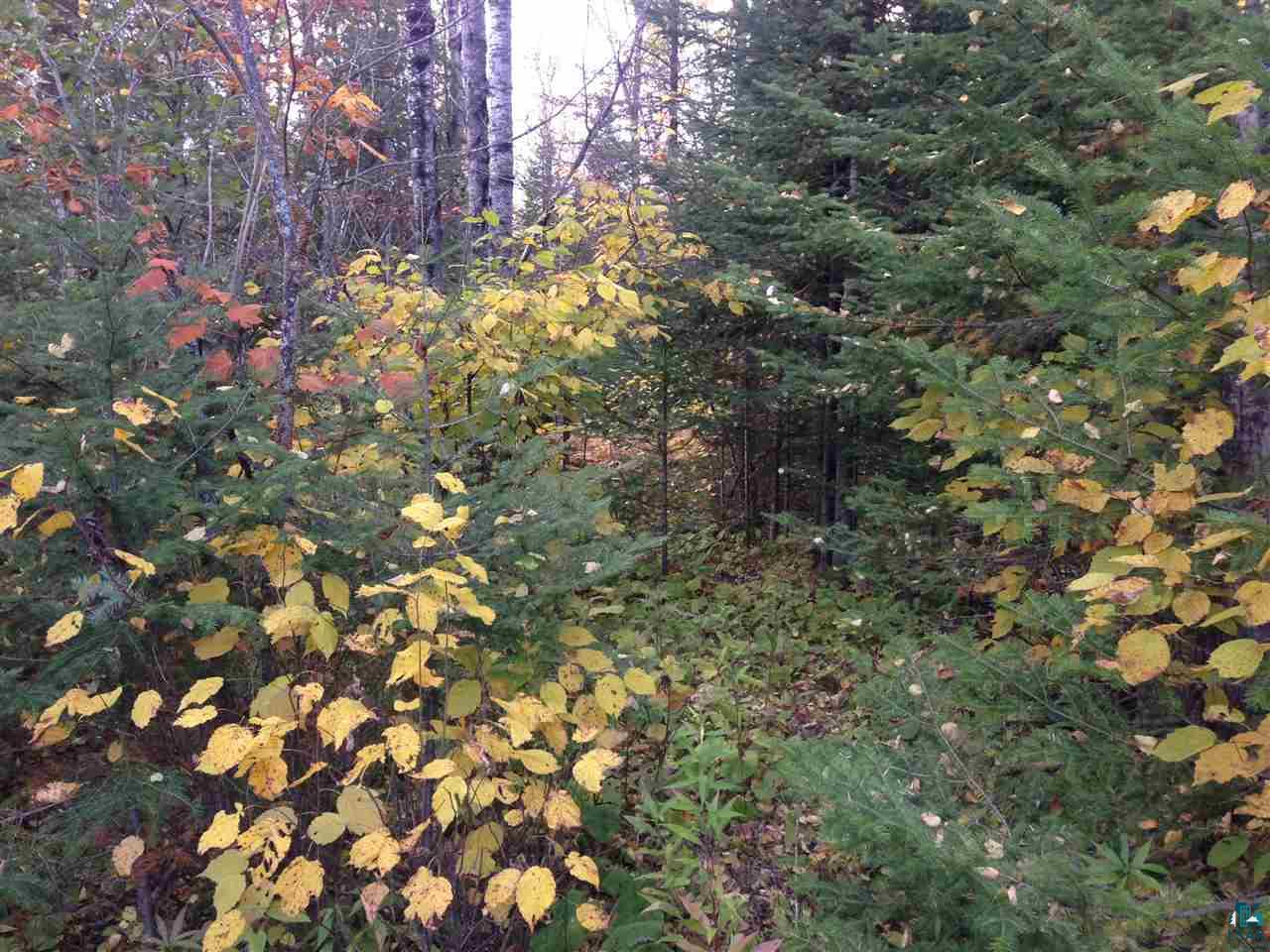 42-xx Schultz Road Duluth, MN 55803 - Photo 6 of 15