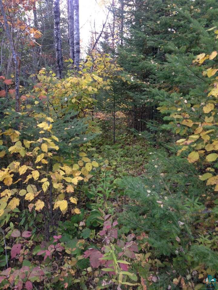 42-xx Schultz Road Duluth, MN 55803 - Photo 7 of 15