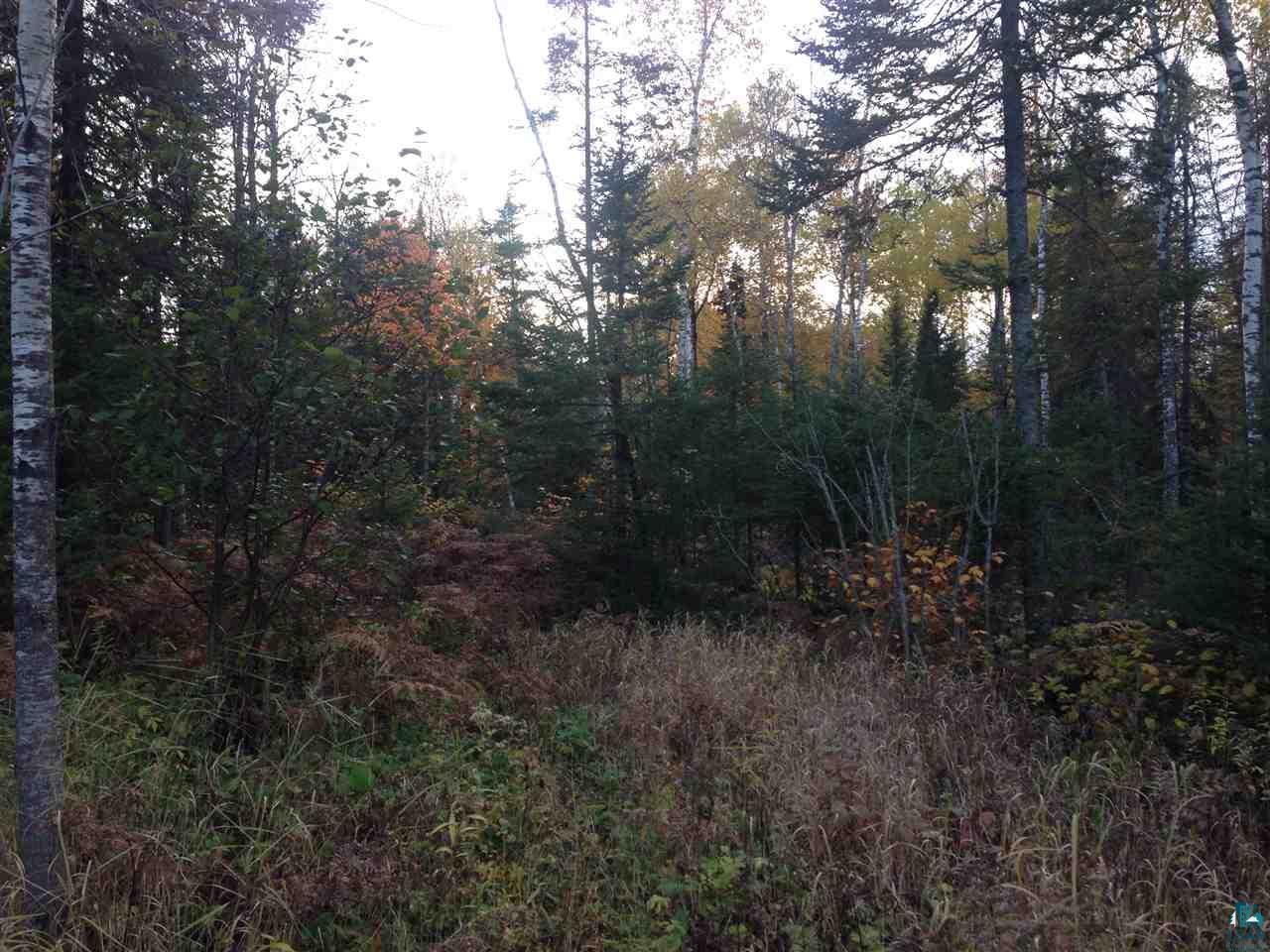 42-xx Schultz Road Duluth, MN 55803 - Photo 8 of 15