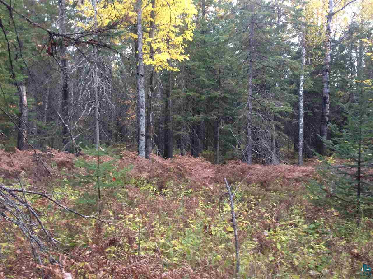 42-xx Schultz Road Duluth, MN 55803 - Photo 9 of 15