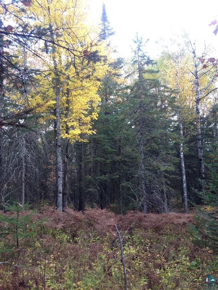 42-xx Schultz Road Duluth, MN 55803 - Photo 10 of 15
