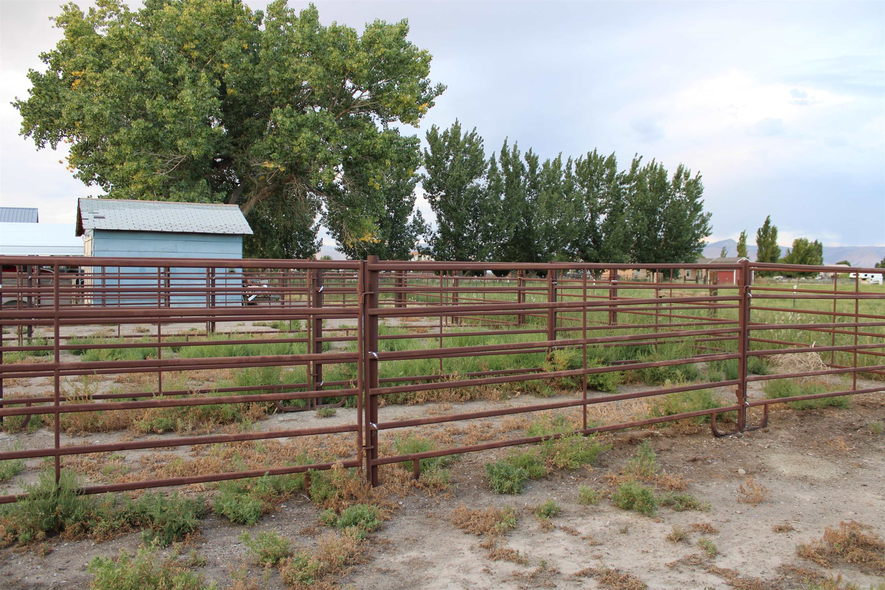 1156 20 Road Fruita, CO 81521 - Photo 24 of 42 Gallery Image 24