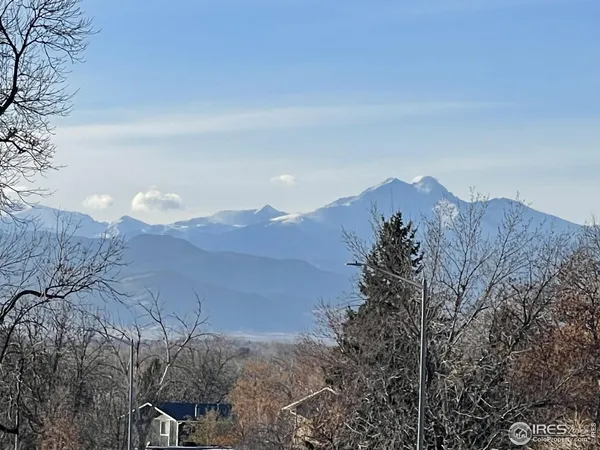 a view of a dry yard with mountains in the background