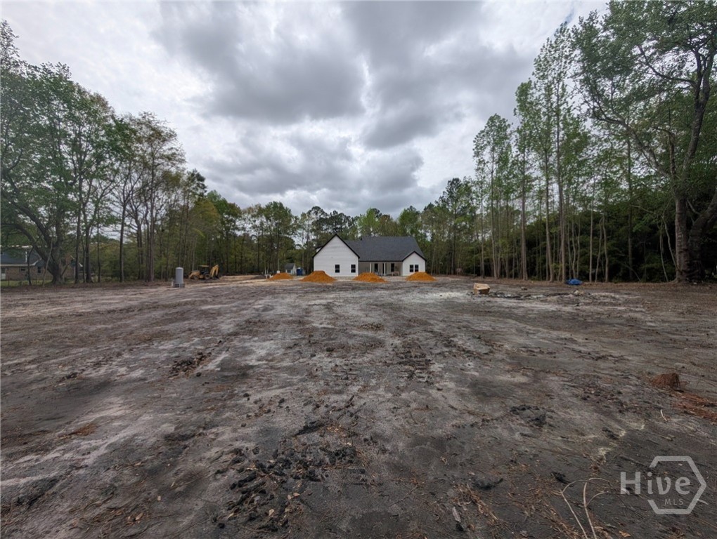 433 Exley Loop Guyton, GA 31312 - Photo 4 of 13