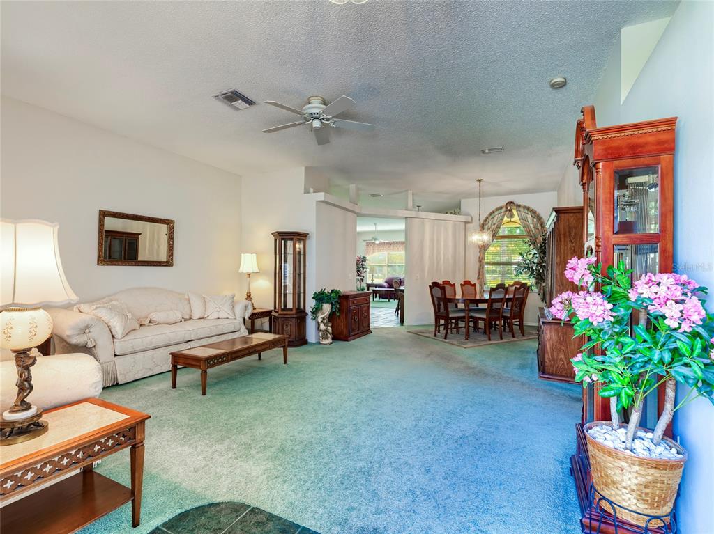 11228 Windrush Circle Hudson, FL 34667 - Photo 18 of 67 a living room with furniture flowerpot and a potted plant