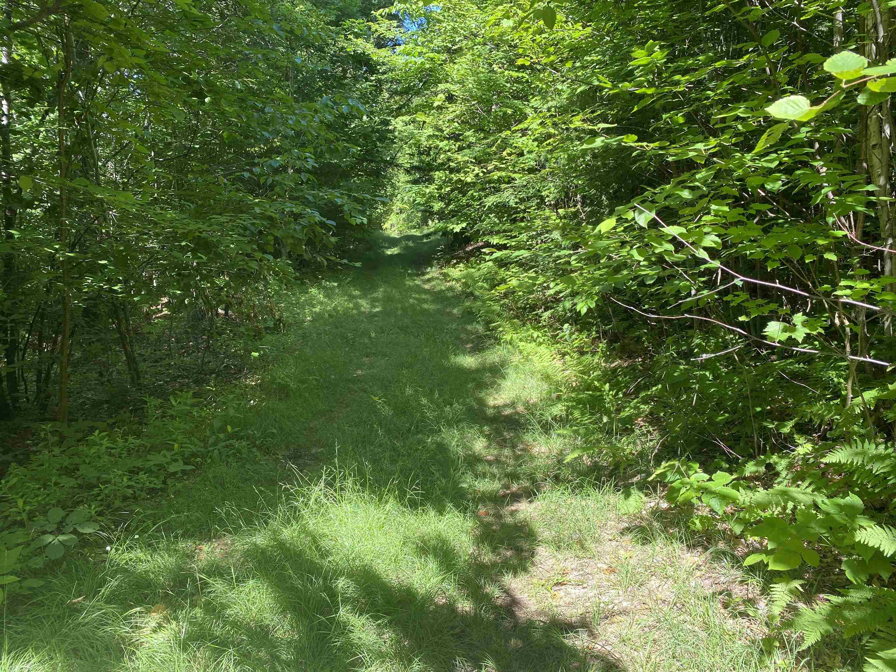 21 Fieldstone Road Campton, NH 03223 - Photo 4 of 6